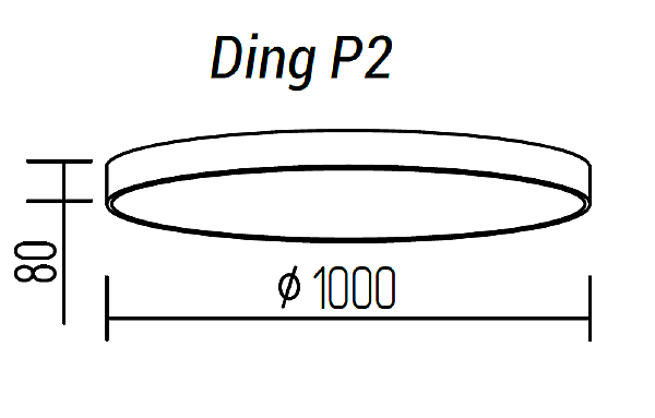 Светильник потолочный TopDecor Ding Ding P2 12