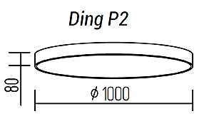 Светильник потолочный TopDecor Ding Ding P2 12