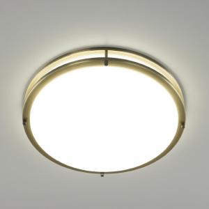 Потолочный светодиодный светильник Citilux Бостон CL709403