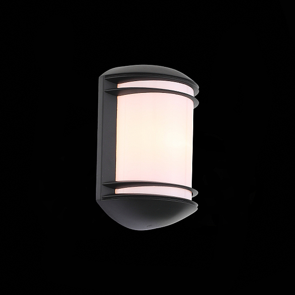 Уличный настенный светильник ST Luce Agio SL076.401.01