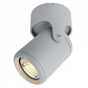 Накладной светильник Arte Lamp Libra A3316PL-1GY