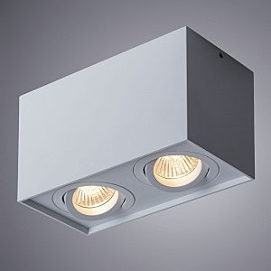 Накладной светильник Arte Lamp Factor A5544PL-2WH