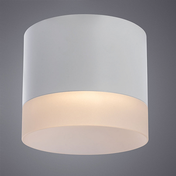 Накладной светильник Arte Lamp Castor A5554PL-1WH