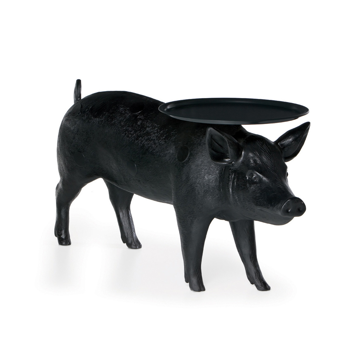  Delight Collection Pig 6088T black