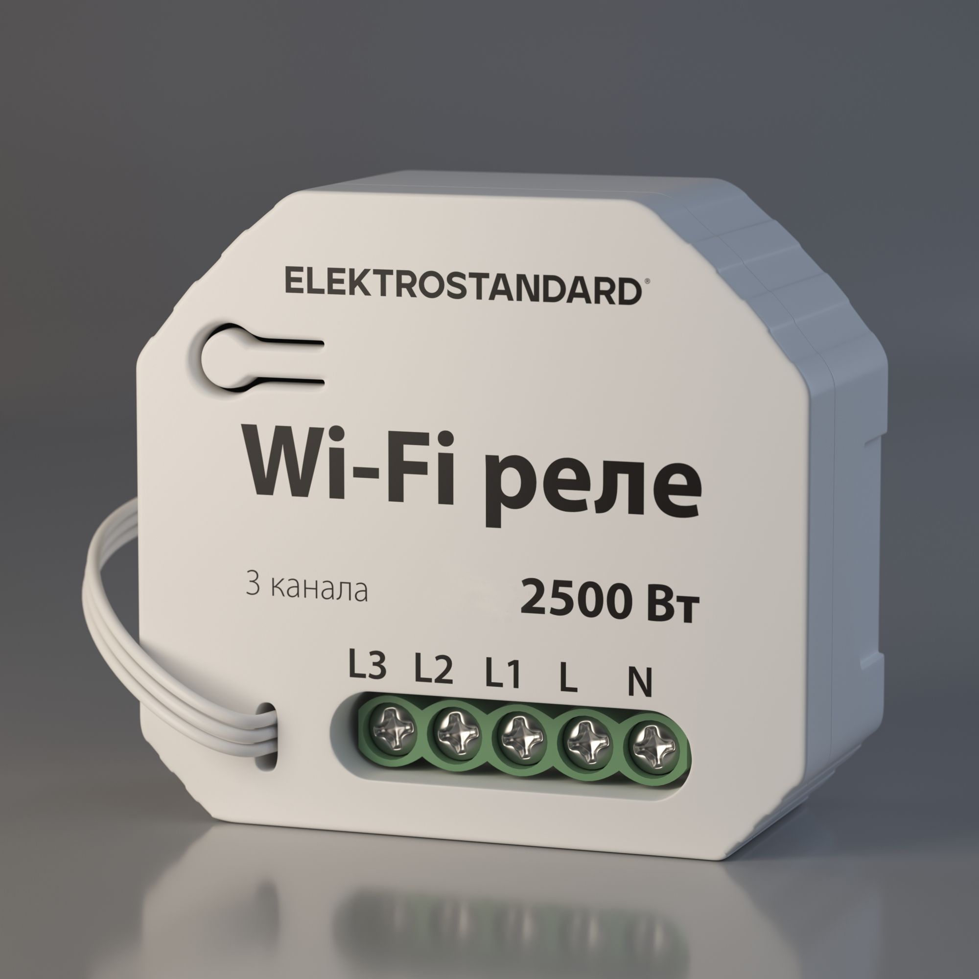Wi-Fi  Elektrostandard WF 76004/00   