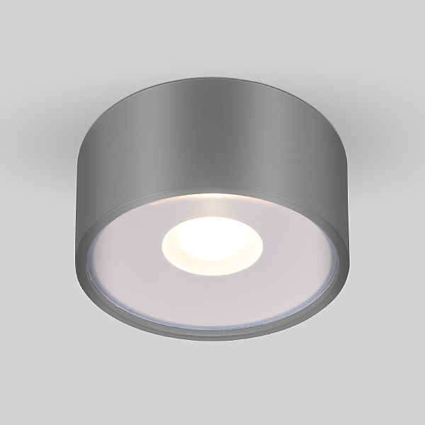 Накладной светильник Elektrostandard Light LED Light LED 2135 (35141/H) серый